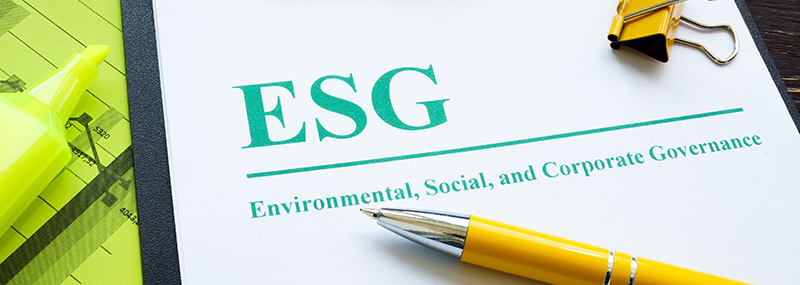 ESG ratings: Look closer