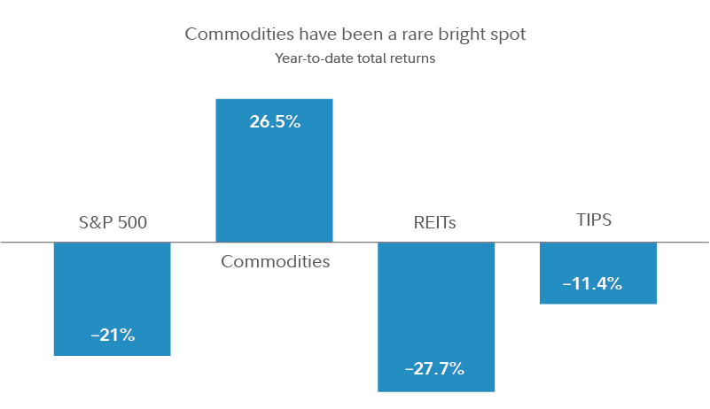 Chart shows that S&P 500 index, REITs, and TIPS have all fallen on a total return basis year-to-date, while commodities have returned 26.5%.