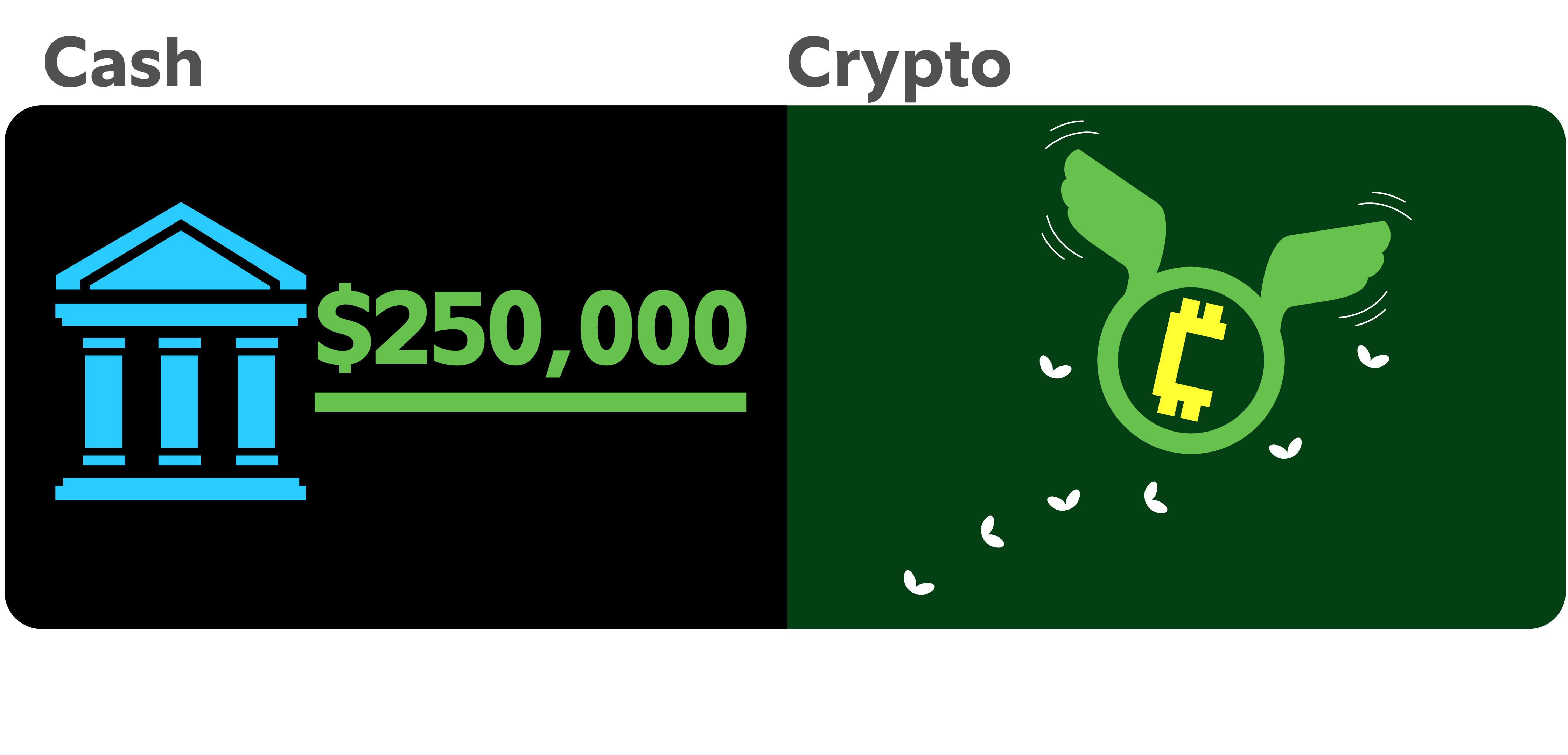 Comparison of cash savings and cryptocurrency growth showing bank holding fixed $250,000 versus crypto coin increasing in value