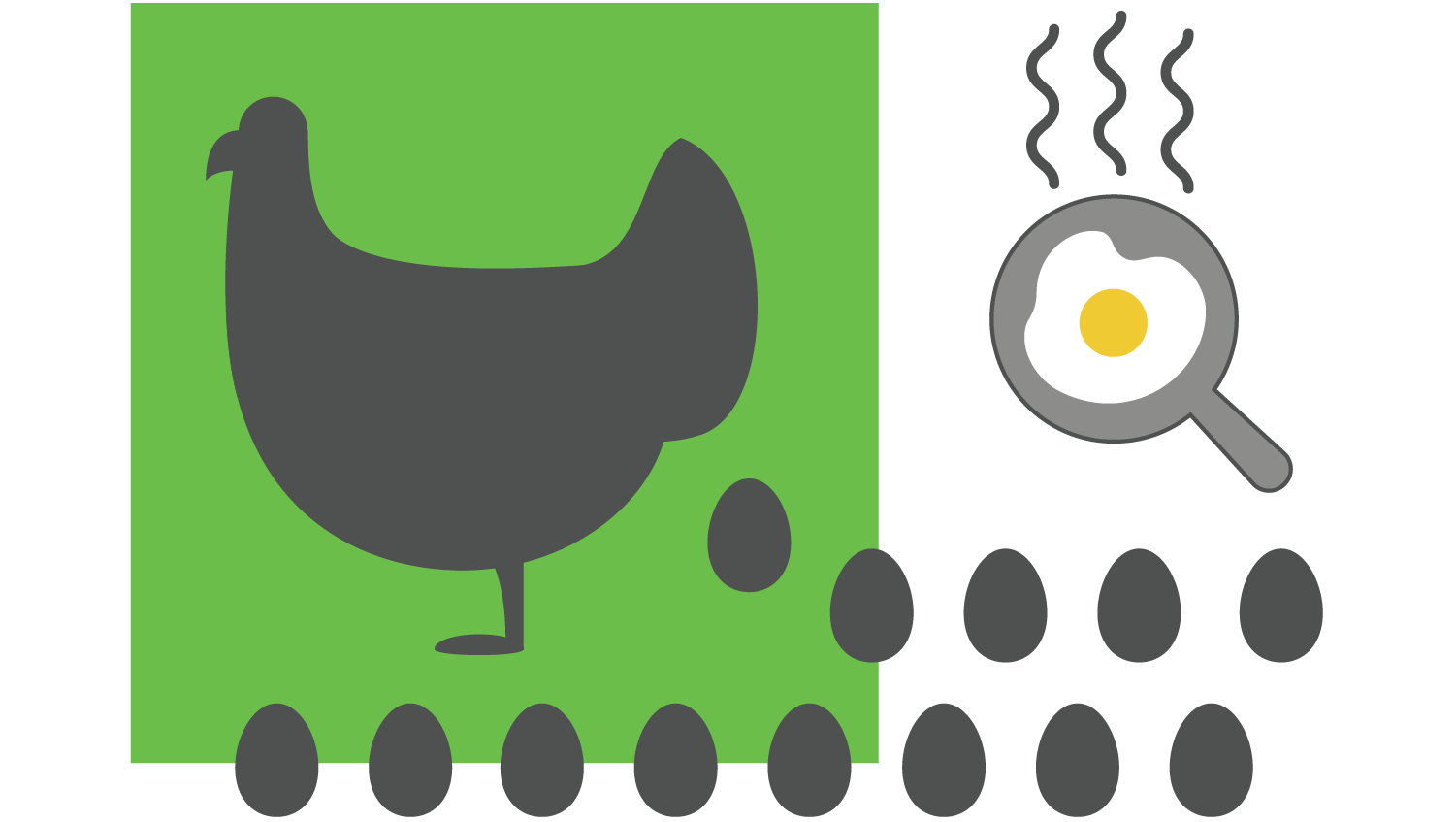 Illustration showing a black silhouette of a chicken on a green square background with ten black eggs arranged below and to the right. A frying pan with a cooked sunny-side-up egg and steam rising is depicted in the top right corner, representing the process from egg-laying to cooking.
