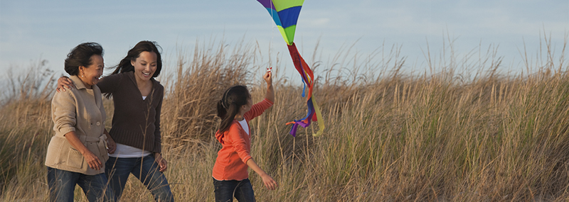 hereditary human kite｜TikTok Search
