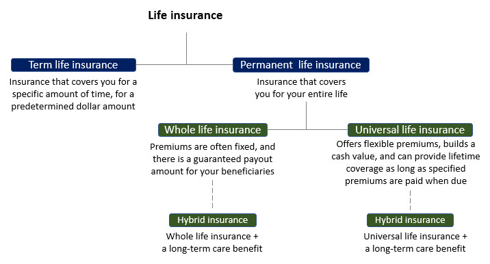 Hierarchical chart explaining different types of life insurance.